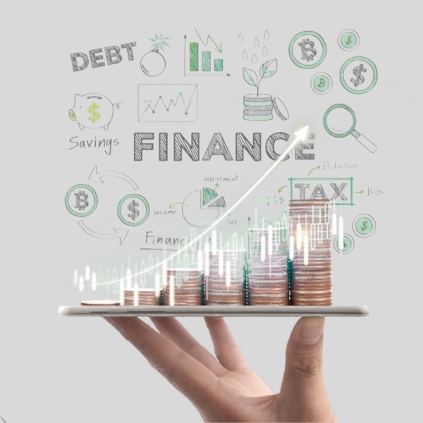 Financial Management Software